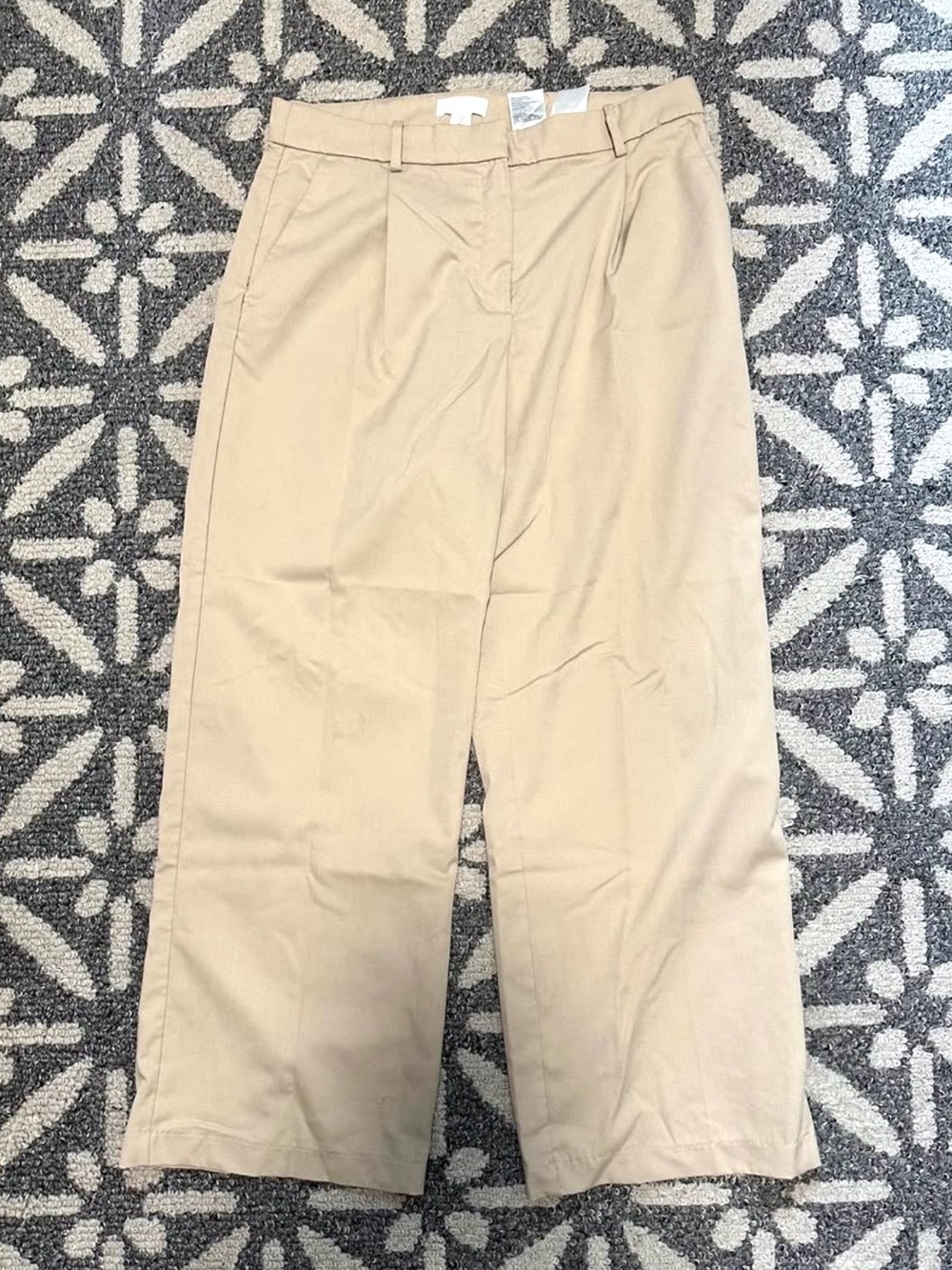 H&M Beige Wide Leg Pleated Dress Pants